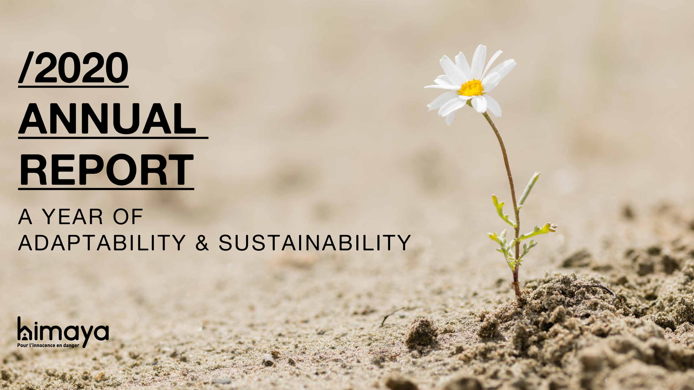 Impact Report 2020 — cover
